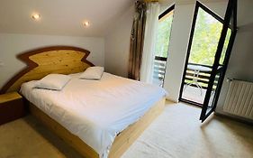 Ski Chalet Sinaia